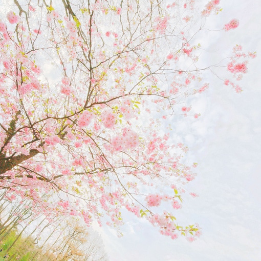 有点忧伤的qq空间心情说说