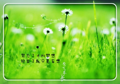 关于正能量的句子_不能原谅我的懦弱