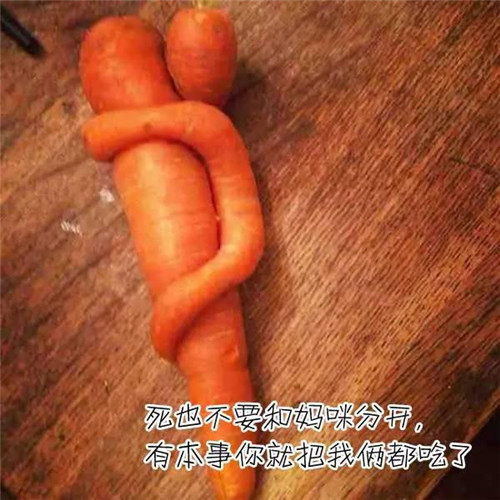 滑稽诙谐的搞笑说说_被游泳圈卡主了