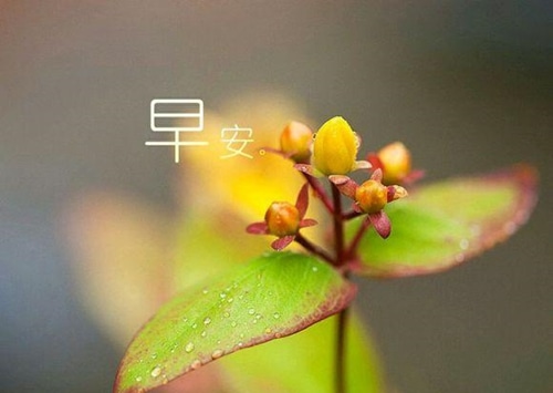 关于梦想的阳光励志句子_展示骄人的活力