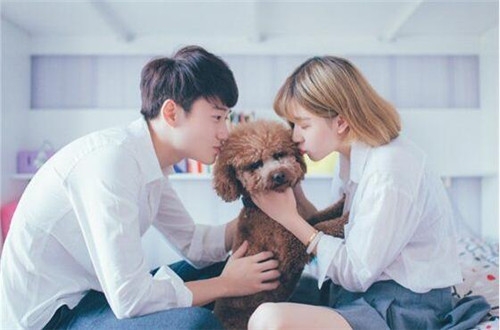 感悟人生的哲理句子_朋友是一支拐杖