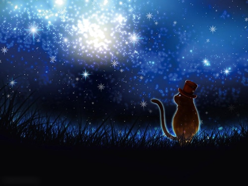 关于女人养生的经典语句