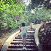 女生短发背影头像   qq短发女生头像背影