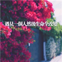 励志文字头像  qq励志奋斗文字头像