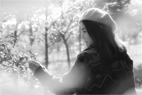 有关分别的伤感句子  自古多情伤离别,且莫泪流
