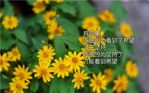坚持拼搏的励志句子