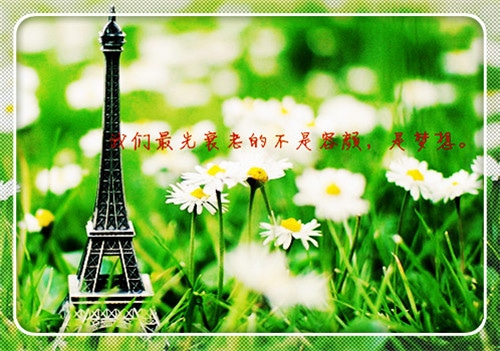 走自己的路正能量句子