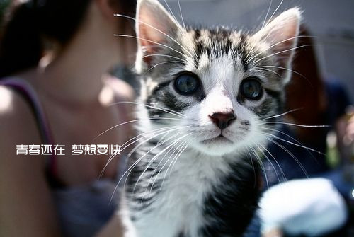 感悟人生的经典句子配唯美图片 人生常知足才会烦恼少