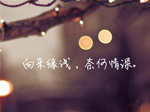 最优美最伤感的爱情散文句子