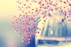感悟人生哲理句子带图片_不怕路远就怕志短