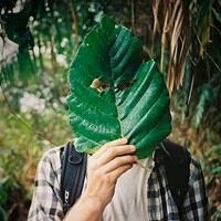 森系暖心男生头像_森系暖心范儿