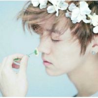鹿晗帅气乖萌头像_卖萌的男神