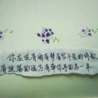 唯美的手写文字头像_人生若只如初见