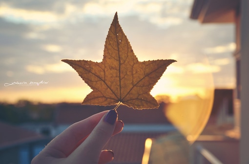 四个字的女生网名唯美_别怀疑我