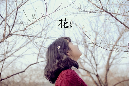 微信签名伤感的女人_放手也是一种美