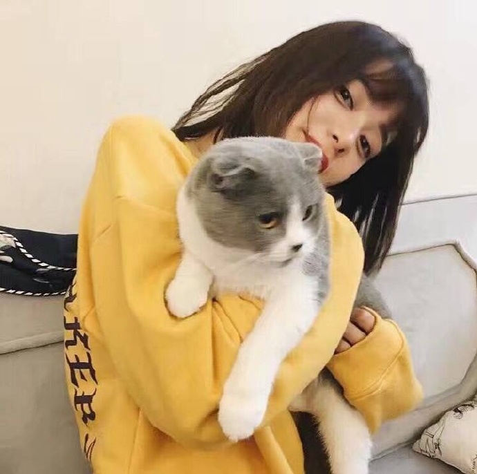 女生抱狗狗唯美的图片