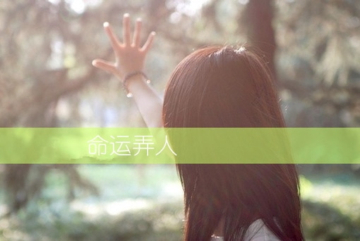 优美伤感落泪的句子_寂寞人生爱无休