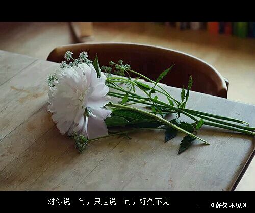 关于分手后坚强的说说_不爱就坚强一个人扛起所有的伤
