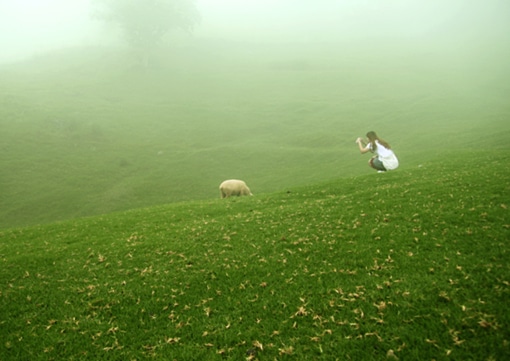 带王字的微信网名