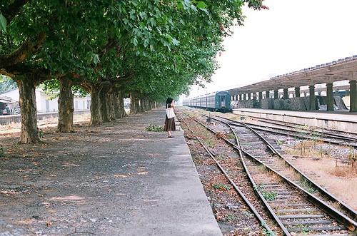 小女孩起关于柠檬的网名
