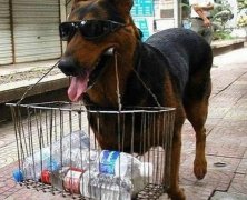 搞笑男生微信网名