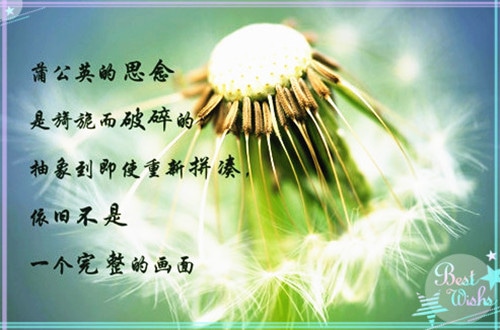 有意境的女生伤感五字网名