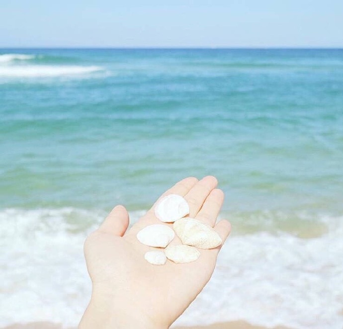 海边手拿东西拍照的图片