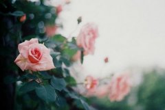 与众不同的微信名字_謿蓅哋啴裑,