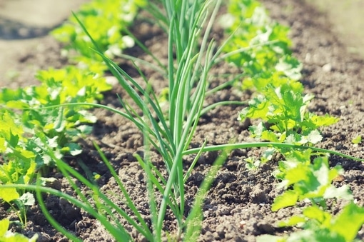 微信搞笑网名大全