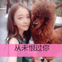 可爱女生抱宠物头像带文字