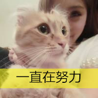 可爱女生抱宠物头像带文字