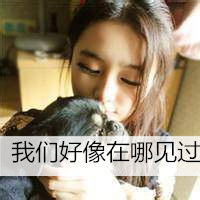 可爱女生抱宠物头像带文字