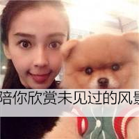 可爱女生抱宠物头像带文字
