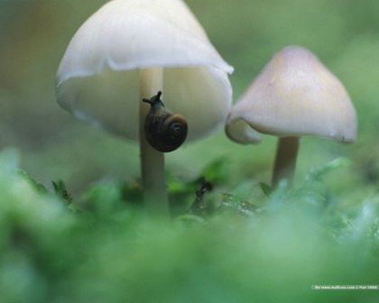 阳光积极的qq励志个性签名