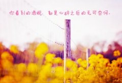 关于优美景色的句子