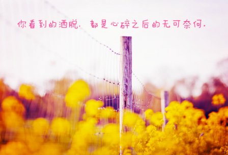 关于优美景色的句子