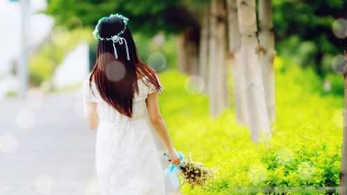女生背影唯美图片