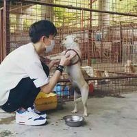 个性伤感的男生头像
