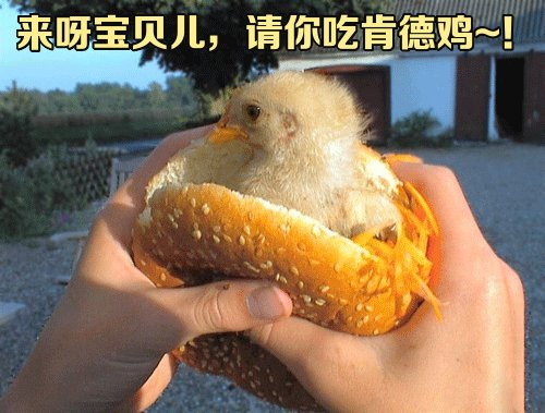 有关食物的搞笑图片