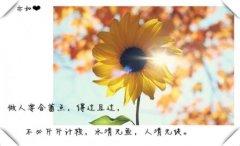 冷酷霸气潮流个性说说_你敢说我就敢做