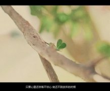 最伤感的离别说说_离别是迷眼的沙