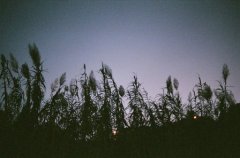好听的游戏网名精选_其实不想想你