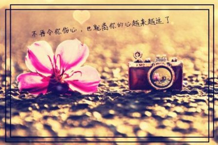 关于闺蜜的唯美句子说说带图片
