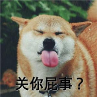 可爱狗狗qq头像