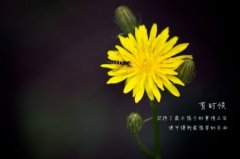 经典励志个性签名精选