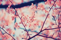 有关无奈心情的伤感句子