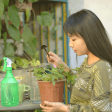 森系三姐妹头像