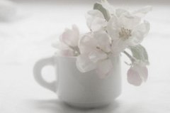 简单优雅的扣扣签名大全