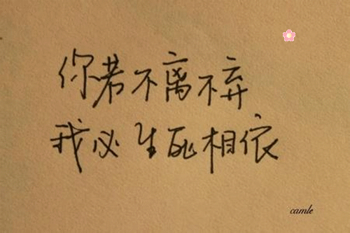 手写优美文字图片大全