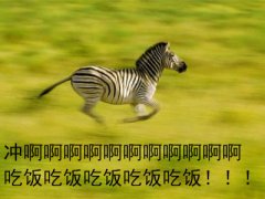 群里开饭啦搞笑图片,开饭啦冲冲冲!